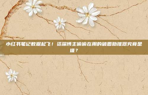小红书笔记数据起飞！资深博主偷偷在用的破圈助推器究竟是谁？