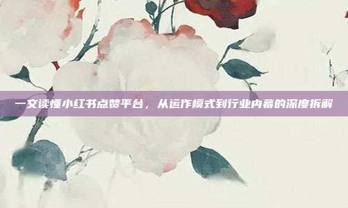 一文读懂小红书点赞平台，从运作模式到行业内幕的深度拆解