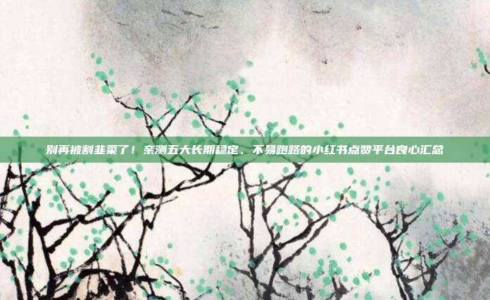 别再被割韭菜了！亲测五大长期稳定、不易跑路的小红书点赞平台良心汇总