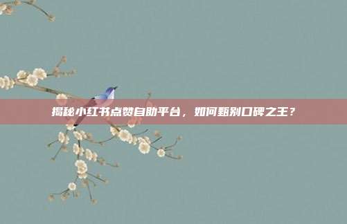 揭秘小红书点赞自助平台，如何甄别口碑之王？