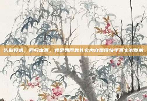 告别投机,回归本真,我是如何靠扎实内容赢得快手真实浏览的