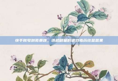 快手账号浏览暴跌,违规刷量的速效毒药终显恶果