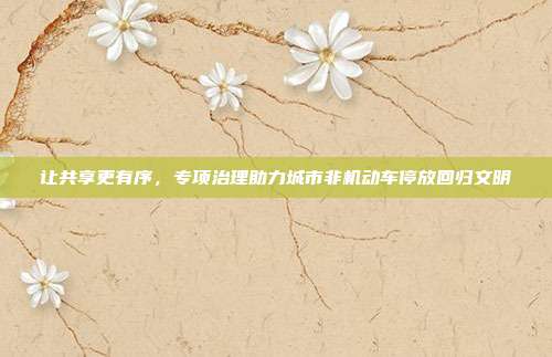 让共享更有序,专项治理助力城市非机动车停放回归文明