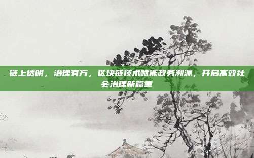 链上透明，治理有方，区块链技术赋能政务溯源，开启高效社会治理新篇章