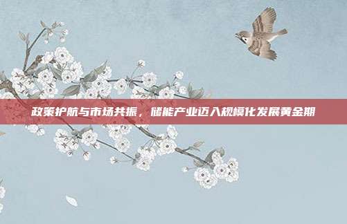 政策护航与市场共振,储能产业迈入规模化发展黄金期