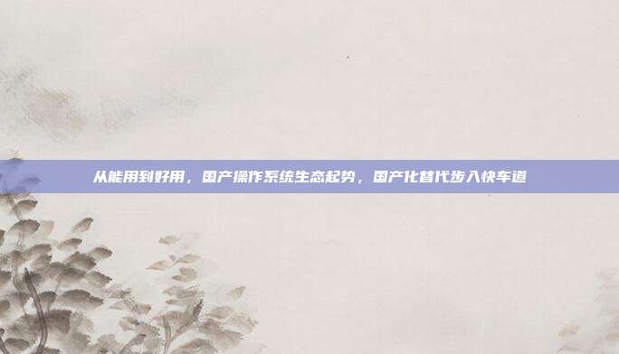 从能用到好用,国产操作系统生态起势,国产化替代步入快车道