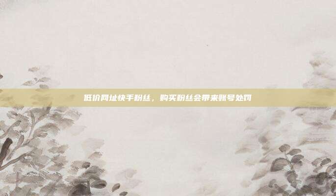 低价网址快手粉丝,购买粉丝会带来账号处罚