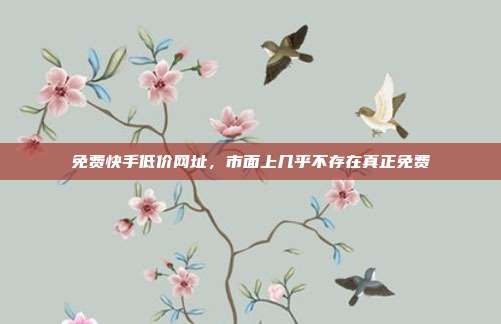 免费快手低价网址,市面上几乎不存在真正免费