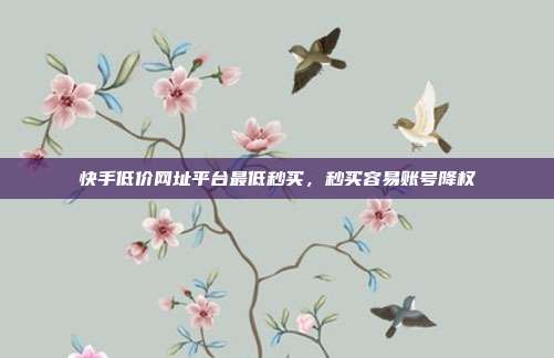 快手低价网址平台最低秒买,秒买容易账号降权