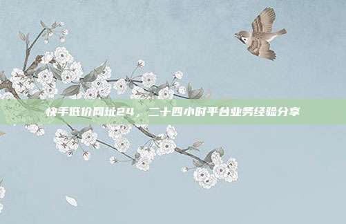 快手低价网址24,二十四小时平台业务经验分享