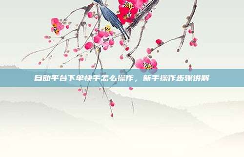 自助平台下单快手怎么操作,新手操作步骤讲解