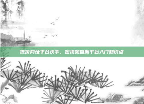 低价网址平台快手,短视频自助平台入门知识点