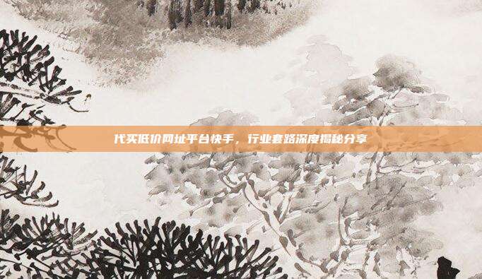 代买低价网址平台快手,行业套路深度揭秘分享