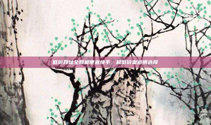 低价网址全网最便宜快手,超低价渠道慎选择