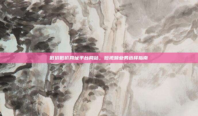 低价低价网址平台网站，短视频业务选择指南
