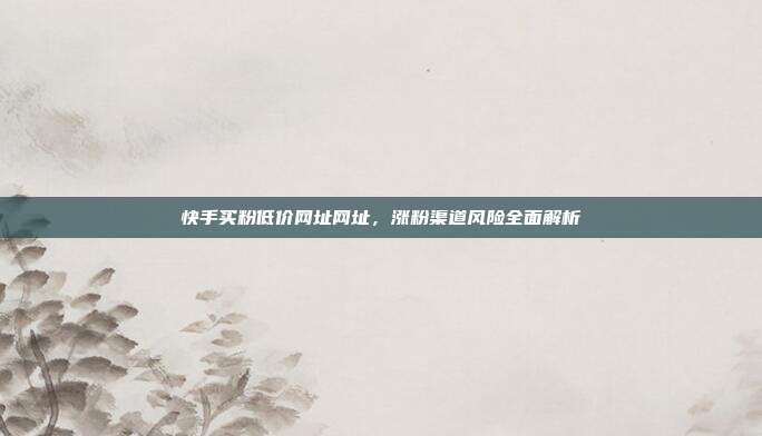快手买粉低价网址网址，涨粉渠道风险全面解析