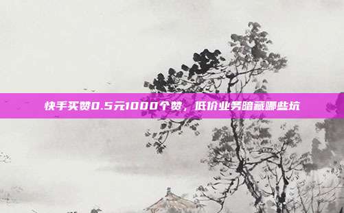 快手买赞0.5元1000个赞,低价业务暗藏哪些坑