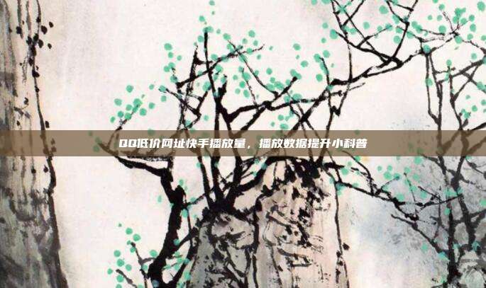 QQ低价网址快手播放量,播放数据提升小科普