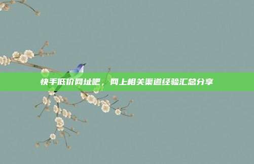 快手低价网址吧,网上相关渠道经验汇总分享