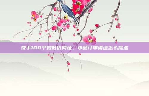 快手100个赞低价网址,小额订单渠道怎么挑选