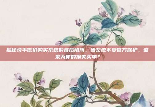 揭秘快手低价购买系统的幕后陷阱,当系统不受官方保护,谁来为你的损失买单?