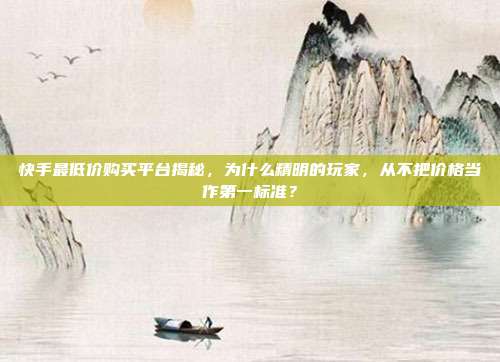 快手最低价购买平台揭秘,为什么精明的玩家,从不把价格当作第一标准?