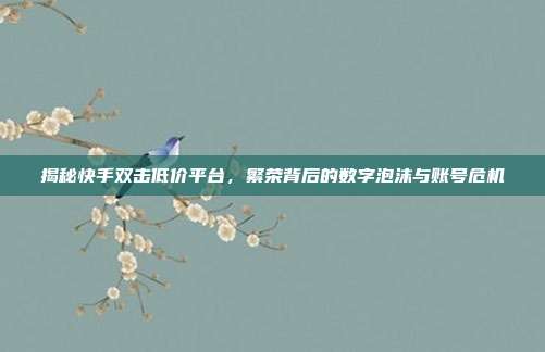揭秘快手双击低价平台,繁荣背后的数字泡沫与账号危机