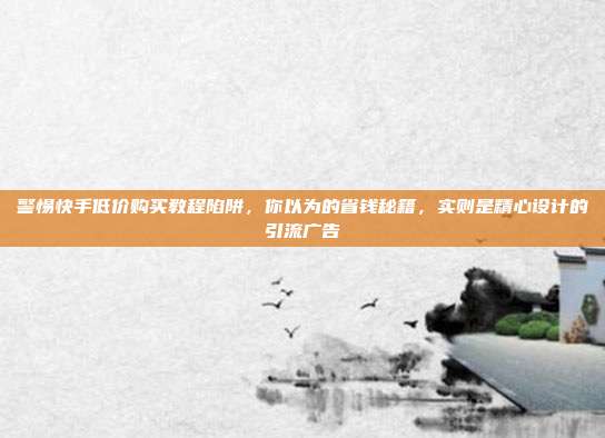 警惕快手低价购买教程陷阱，你以为的省钱秘籍，实则是精心设计的引流广告