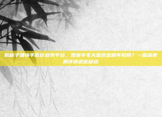 揭秘子潇快手低价业务平台,是薅羊毛天堂还是翻车陷阱?一篇深度测评讲透优缺点