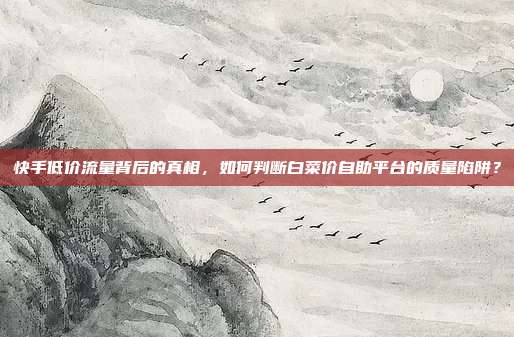 快手低价流量背后的真相,如何判断白菜价自助平台的质量陷阱?