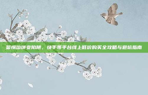 警惕馅饼变陷阱,快手等平台线上低价购买全攻略与避坑指南