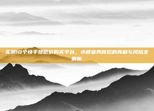 实测10个快手赞低价购买平台，小额业务背后的真相与风险全解析