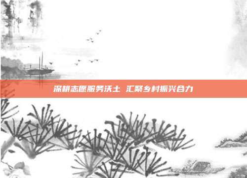 深耕志愿服务沃土 汇聚乡村振兴合力