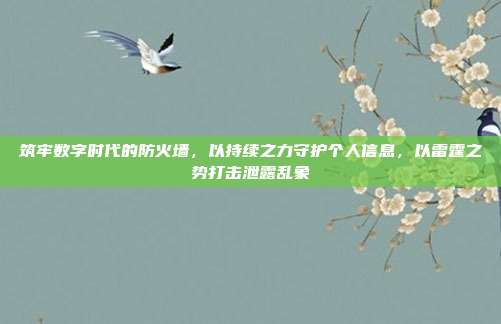 筑牢数字时代的防火墙，以持续之力守护个人信息，以雷霆之势打击泄露乱象