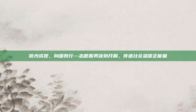微光成炬,向暖而行—志愿服务蓬勃开展,传递社会温暖正能量
