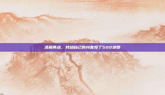 凌晨两点,我给自己的抖音投了500块赞