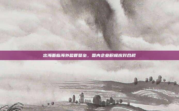 出海面临海外监管壁垒,国内企业积极应对合规
