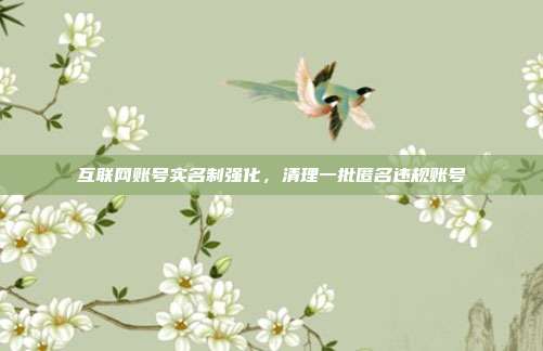 互联网账号实名制强化,清理一批匿名违规账号