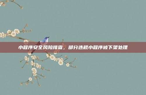 小程序安全风险排查,部分违规小程序被下架处理