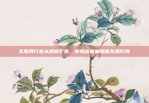 互联网行业从规模扩张,转向高质量提质发展阶段