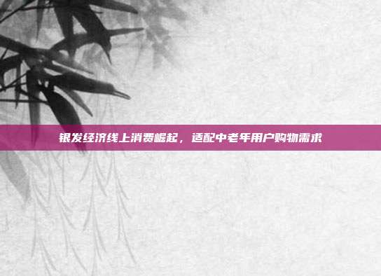 银发经济线上消费崛起,适配中老年用户购物需求