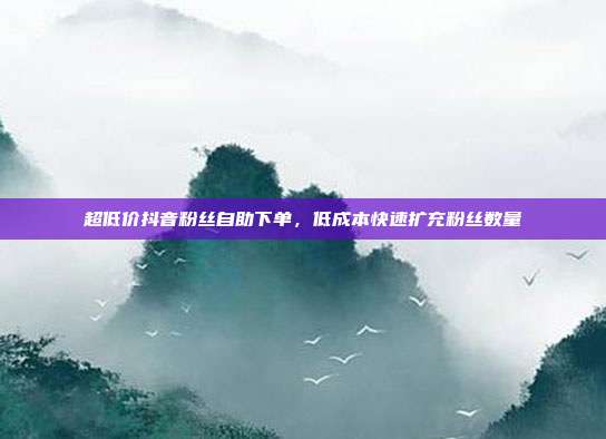 超低价抖音粉丝自助下单,低成本快速扩充粉丝数量