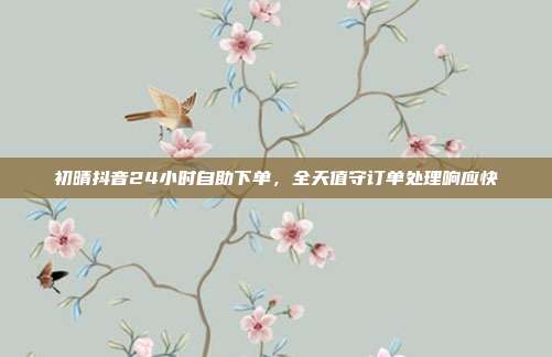 初晴抖音24小时自助下单,全天值守订单处理响应快