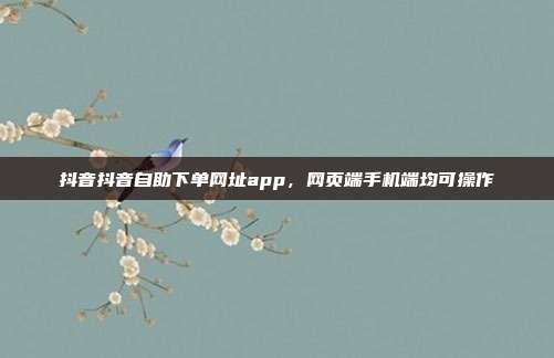 抖音抖音自助下单网址app,网页端手机端均可操作