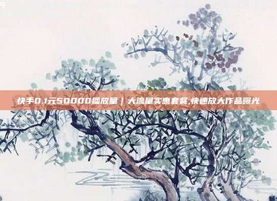 快手0.1元50000播放量|大流量实惠套餐,快速放大作品曝光