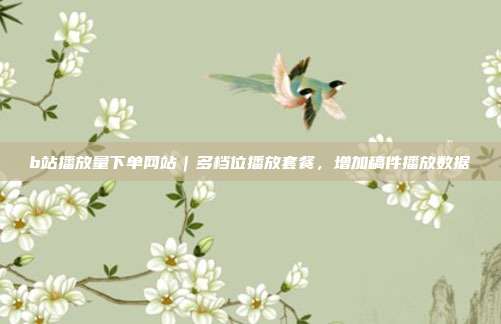 b站播放量下单网站|多档位播放套餐,增加稿件播放数据