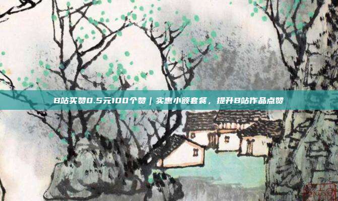 B站买赞0.5元100个赞|实惠小额套餐,提升B站作品点赞