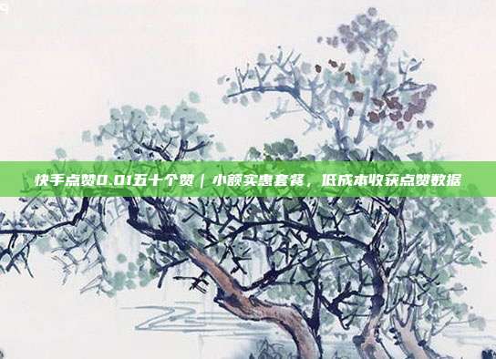 快手点赞0.01五十个赞|小额实惠套餐,低成本收获点赞数据