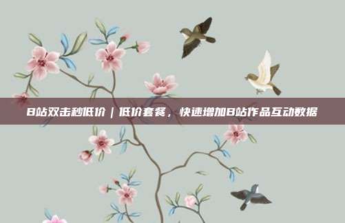 B站双击秒低价｜低价套餐，快速增加B站作品互动数据