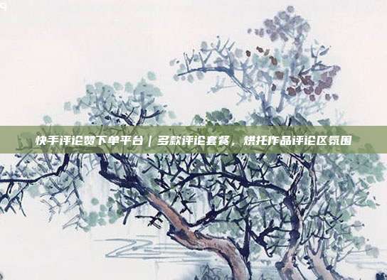 快手评论赞下单平台|多款评论套餐,烘托作品评论区氛围